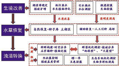 ˮ(zhun)(xing)оɹB(ti)ޏ(f)