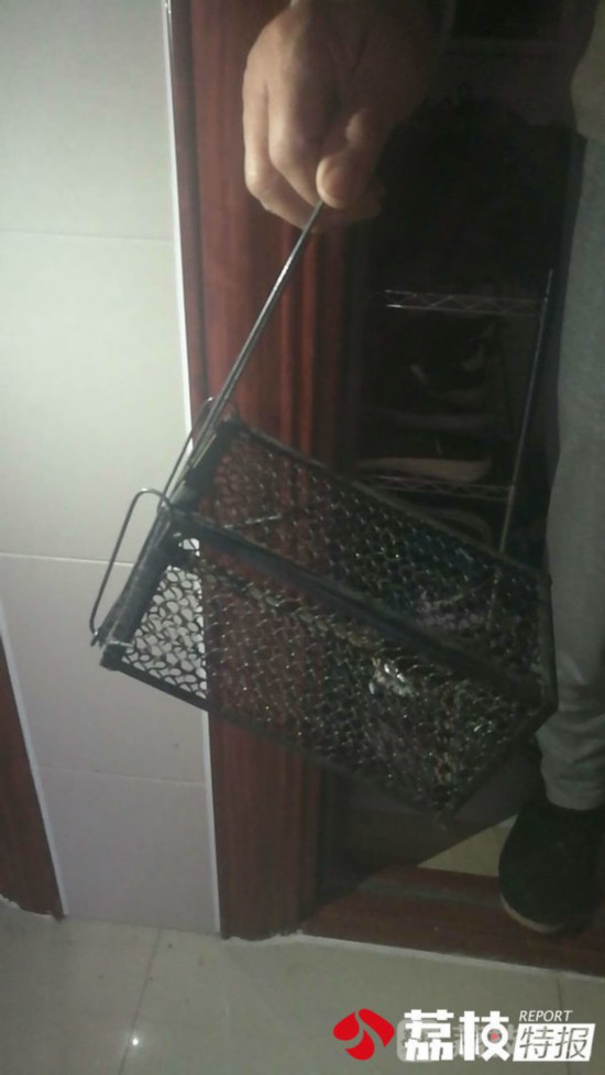 栖霞新城香悦澜山小区现鼠患 系南京首个模块