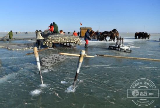 2018冰雪吉林行丨查干湖冬捕大揭秘 您不知道的捕鱼细节