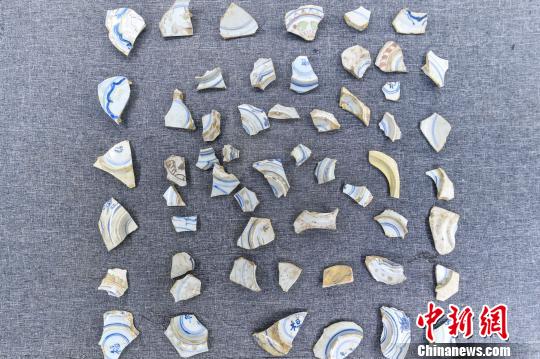 在大洲灣遺址發現的瓷器碎片 索有為 攝