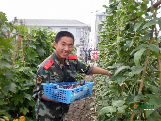 当兵人口年检_当兵头像(3)