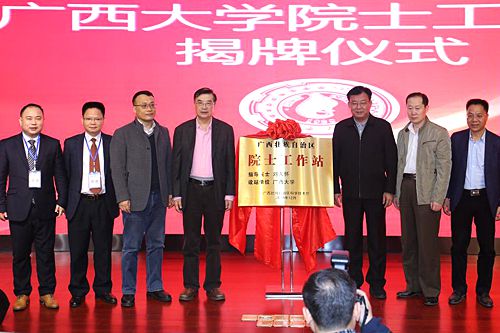 个以现代服务业为主题的院士工作站落户广西大