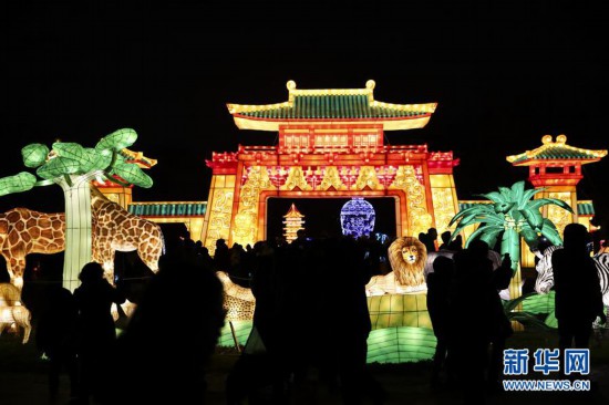 （国际）（4）纽约：观花灯迎新年