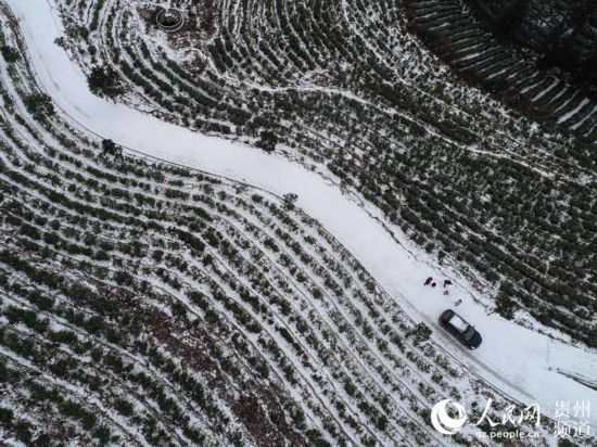 雪润新年景如画