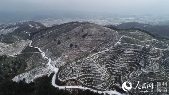 雪润新年景如画