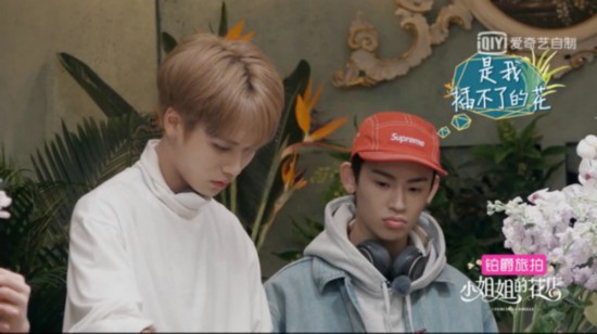 《小姐姐的花店》小S自曝放飞自我三件事 宋佳