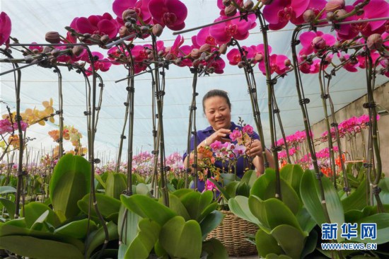 �����ã���2���ӱ���ɽ����ʩũҵ��ũ�񡰶��С��䡰��æ��