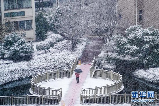 (社会)(12)多地迎来降雪天气