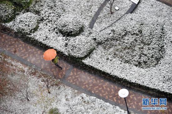 #(社会)(7)多地迎来降雪天气