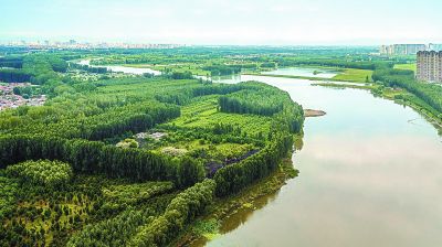 北京将增百万亩无界森林