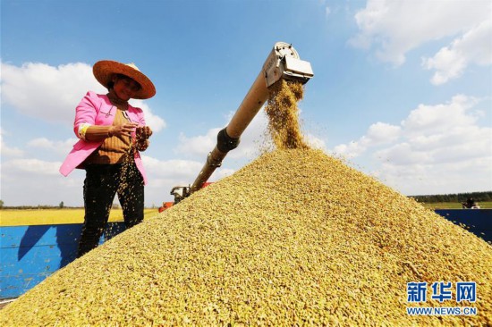 #（图文互动）（1）我国经济总量首次突破90万亿元大关 
