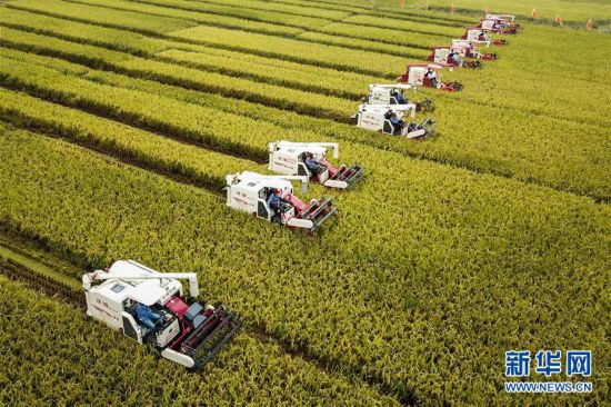 中国经济总量 新华社_中国全球经济总量排名