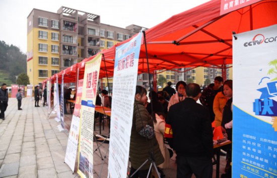 凤翔县人民政府人口(2)