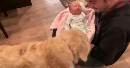 ���а�������ë����С������������Χ������