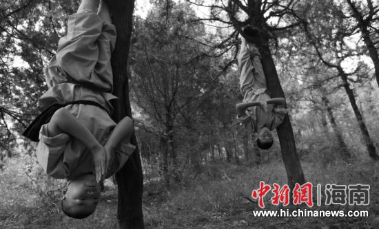 王瑶作品《禅武少林》