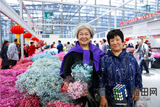 2019深圳迎春花市在会展中心启动 除夕当天开