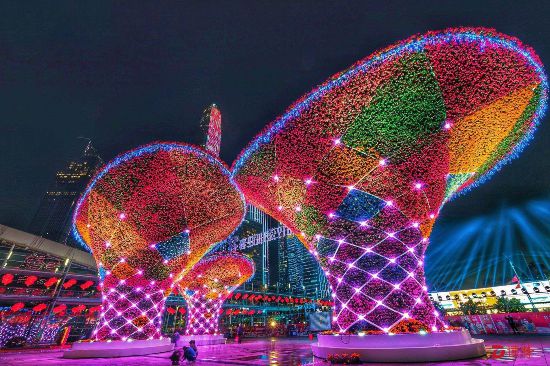 2019深圳迎春花市启幕 花海弥漫年味