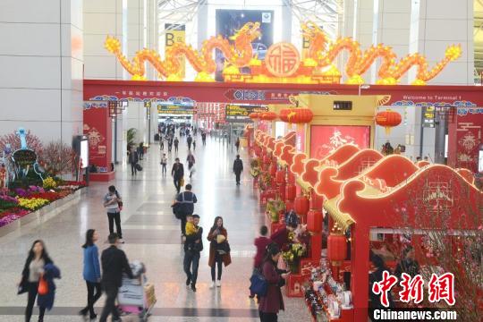 广州花街开进机场航站楼旅客喜逛“迷你花市”