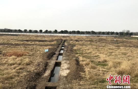 扬州考古人员被打事件追踪:涉事地块暂停交地