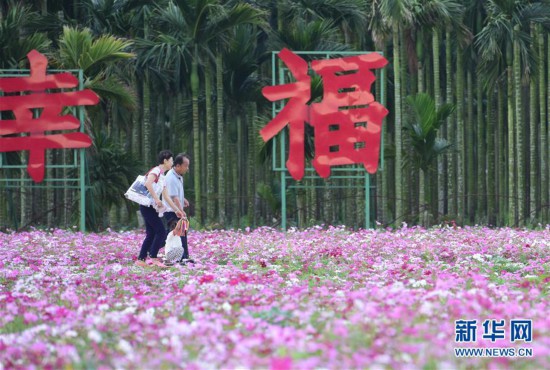 #（社会）（2）海南琼海：花海芬芳引游人