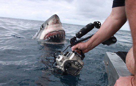 ����Ӱʦ�������������趨�񾪻�һ��