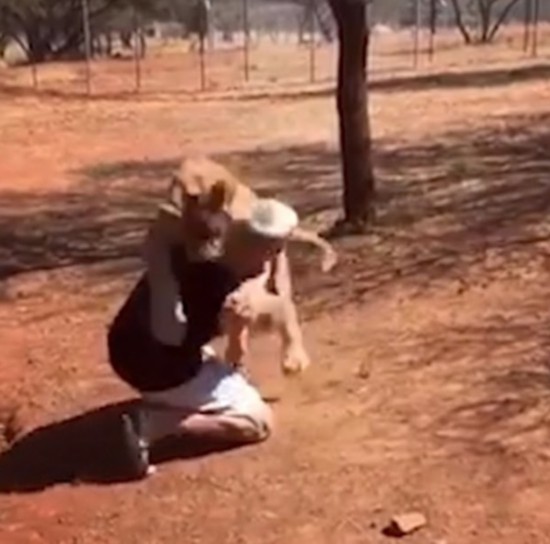 ��ܰ��ʵ�����Ӻ�ʨ��������һ��ӵ������