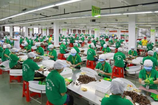 万宁市扎实推进产业扶贫措施落地见效