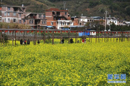 #����ᣩ��5����ů����ӭ����