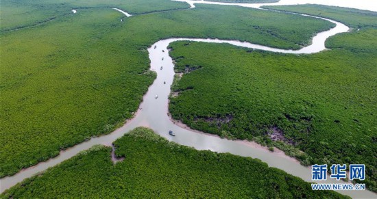 海口推进江东新区建设--江西频道--人民网