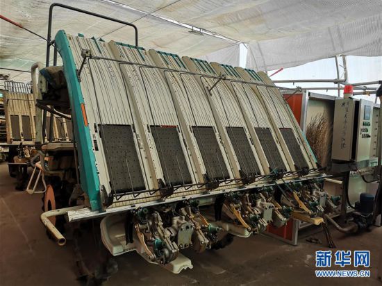 (在习近平新时代中国特色社会主义思想指引下——新时代新作为新篇章·图文互动)(2)黑土地上感受“中国饭碗”新变化