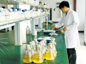 昆明：实施三年行动计划培育七大重点产业