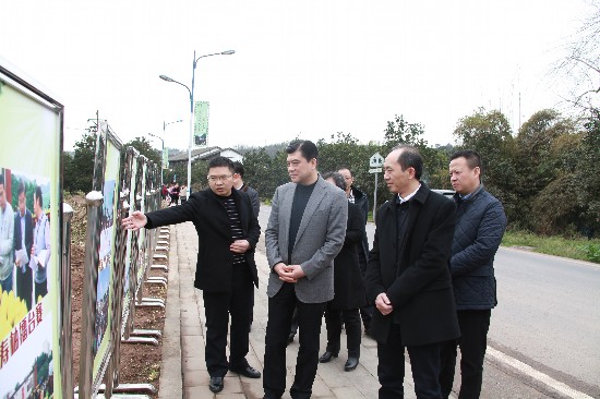 在听取工作情况汇报后,杨春庭指出,重庆长寿与广西虽然远在千里,但