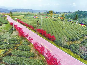 四川:行走最美绿道 感受城市蓬勃生命力