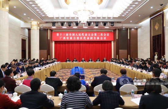 广西代表团审议两高工作报告 鹿心社陈武等参加审议