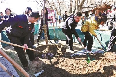 北京玉淵潭公園のサクラが来週にも見頃に