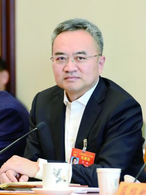 龙翔代表:重大冤假错案追责情况要向全国人大