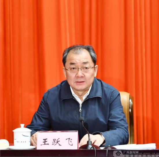 自治区人大常委会副主任王跃飞传达十三届全国人大二次会议精神.