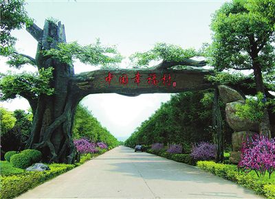 山水之间逐梦“绿富美”