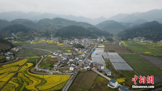 航拍贵州遵义花茂村田园春色（最新发布）