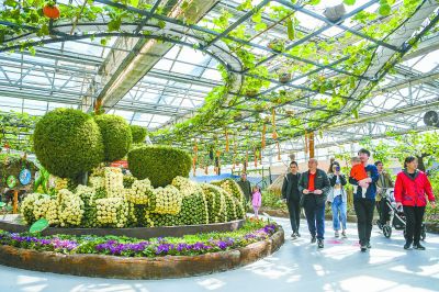 北京农业嘉年华辟8000车位迎客流高峰