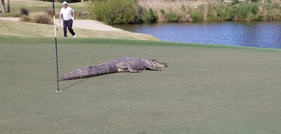 ����һ�߶����򳡾��ִ����������ֵ�����̾