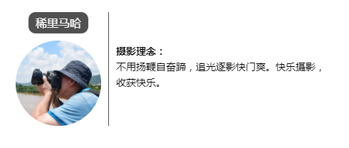 ????_20190328145628.png