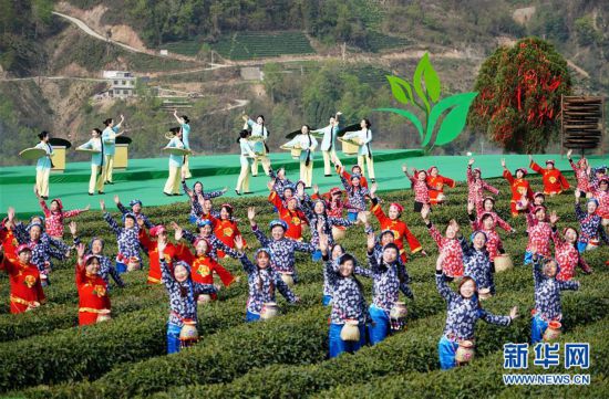 （社會(huì)）（1）陜西紫陽(yáng)：春日茶山迎客來(lái)