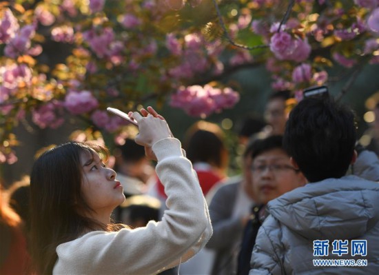 ������������̬����4��ӣ������ ������֯