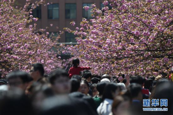 ������������̬����7��ӣ������ ������֯