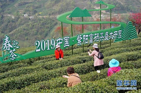 紫阳县人口网_紫阳县创建省级人口计生信息化项目县工作获得省上好评 -紫阳(3)