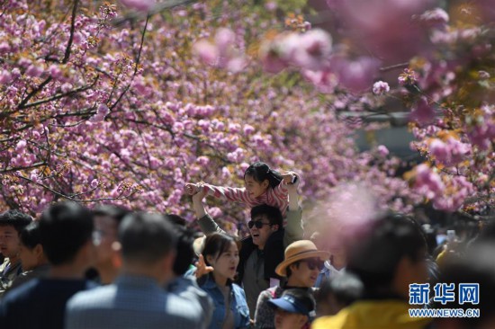 ������������̬����8��ӣ������ ������֯