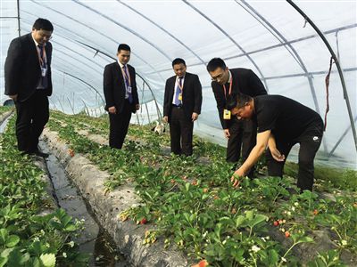 江苏金融国企创新模式 输血 三农 --中国央企新