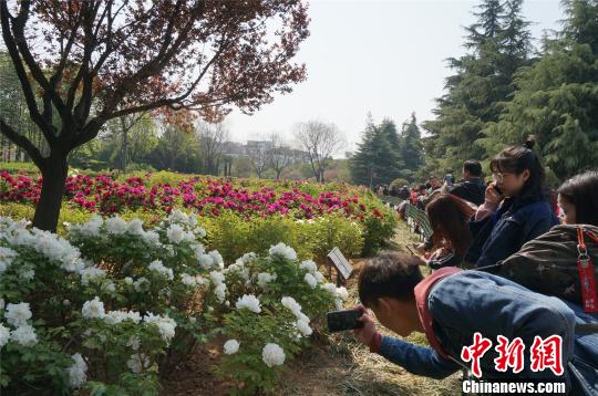 ��ĵ����ĵ����ĵ��������Ϊĵ������