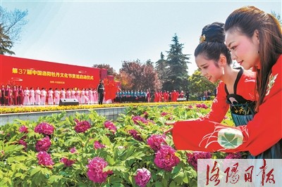 第37届中国洛阳牡丹文化节赏花活动启动